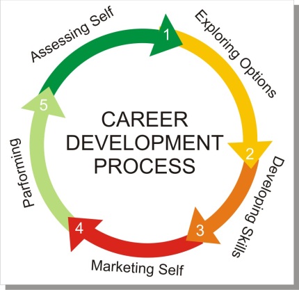 career options career development cycle stages