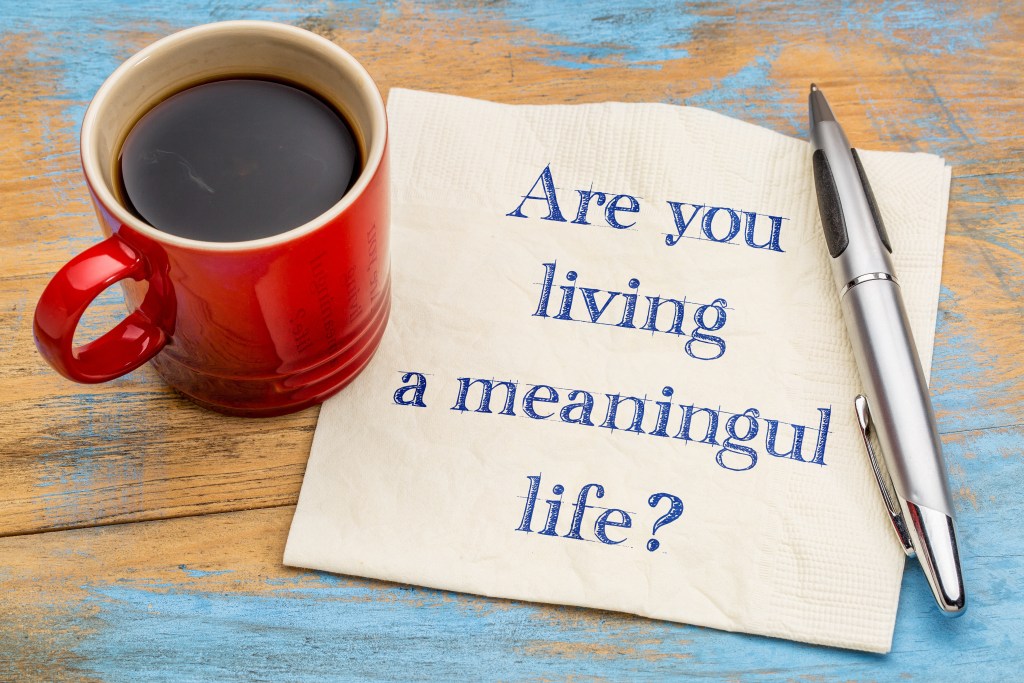 Living a meaningful life Life planners Finding out our life’s purpose The Life planner’s role The financial planner analyses & checks feasibility of a